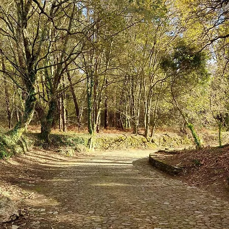 Casa Do Fijogo Dom wakacyjny