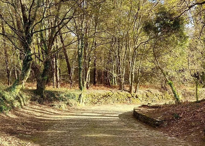 Casa Do Fijogo Dom wakacyjny